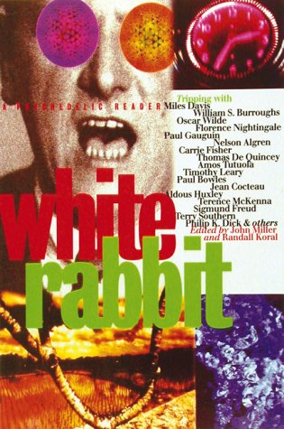 White Rabbit