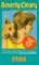 Strider (Leigh Botts, #2)
