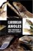 Caribbean Anoles