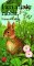 I Am a Little Rabbit