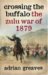 Crossing the Buffalo: The Zulu War of 1879