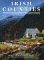 Irish Counties: A Guide to the History, Culture and Traditions of Your Irish Past (Salamander Distro)