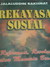 Rekayasa Sosial: Reformasi atau Revolusi?