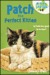 Patch the Perfect Kitten (Kitten Friends, #6)