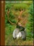 North American Game Animals