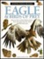 Eagle & Birds of Prey (Eyewitness Books)