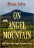 On Angel Mountain (Angel Mountain Saga, #1)