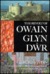 The Revolt Of Owain Glyn D�wr