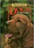 Best Loved Dogs Of The World
