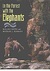 In The Forest With Elephants