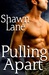 Pulling Apart (Pulling Away, #2)