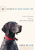 10 Secrets My Dog Taught Me: Life Lessons from a Man's Best Friend