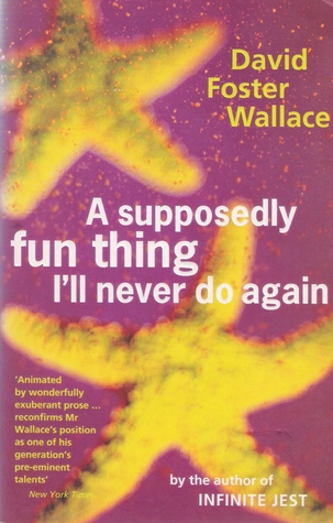 A supposedly fun thing essay