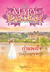 กำแพงใจ The Temporary Wife