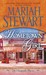 Hometown Girl (Chesapeake Diaries, #4)
