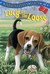 Lucy on the Loose (Absolutely Lucy, #2)