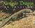 Komodo Dragon