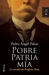 Pobre patria mía: La novela de Porfirio Díaz