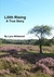 Lilith Rising by Lynx Wildwood Lilith Rising by Lynx Wildwood