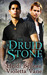 The Druid Stone (Layers of the Otherworld, #1)