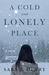 A Cold and Lonely Place (Troy Chance, #2)