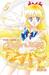 Pretty Guardian Sailor Moon, Vol. 5 (Pretty Soldier Sailor Moon Renewal Editions, #5)