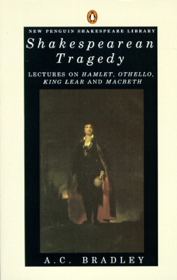write an essay on characteristics of shakespearean tragedy write an essay on characteristics of shakespearean tragedy