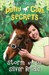 Storm and the Silver Bridle (Pony Club Secrets, #6)