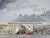 Bodies from the Ice: Melting Glaciers and the Recovery of the Past