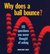 Why Does a Ball Bounce?  101 Questions You Never Thought of Asking