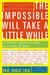 The Impossible Will Take a Little While: A Citizen's Guide to Hope in a Time of Fear