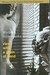 View With a Grain of Sand: Selected Poems