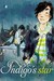 Indigo's Star (Casson Family, #2)