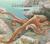About Mollusks: A Guide for Children
