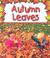 Autumn Leaves