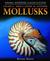 Snails, Shellfish, and Other Mollusks