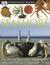 Seashore (Eyewitness Books)