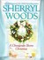 A Chesapeake Shores Christmas (Chesapeake Shores, #4)