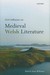 Irish Influence on Medieval Welsh Literature