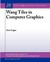 Wang Tiles in Computer Graphics