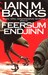 Feersum Endjinn