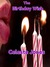 The Birthday Wish