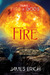 Fire (Dreams of Fire and Gods, #2)
