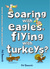 Soaring with Eagles, Flying with Turkeys? An inspirational journey of travel and adventure, helping others across the world