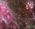 Dead Stars by Paz Marquez Benitez Dead Stars by Paz Marquez Benitez