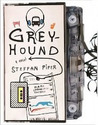 Greyhound