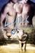 Lynx (Northern Shifters, #3)