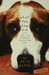 What the Dog Did: Tales from a Formerly Reluctant Dog Owner