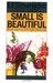 Small Is Beautiful: Economics as if People Mattered