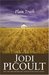 Plain Truth by Jodi Picoult Plain Truth by Jodi Picoult